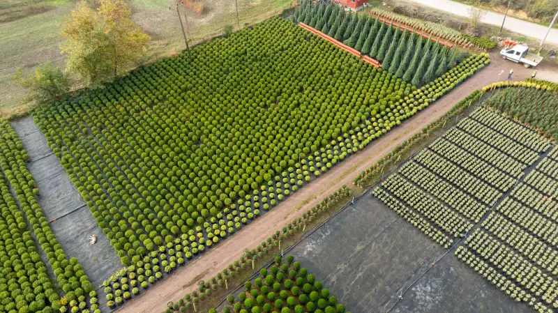 鲁南高速铁路工程项目施工技术难点与质量控制要点解析