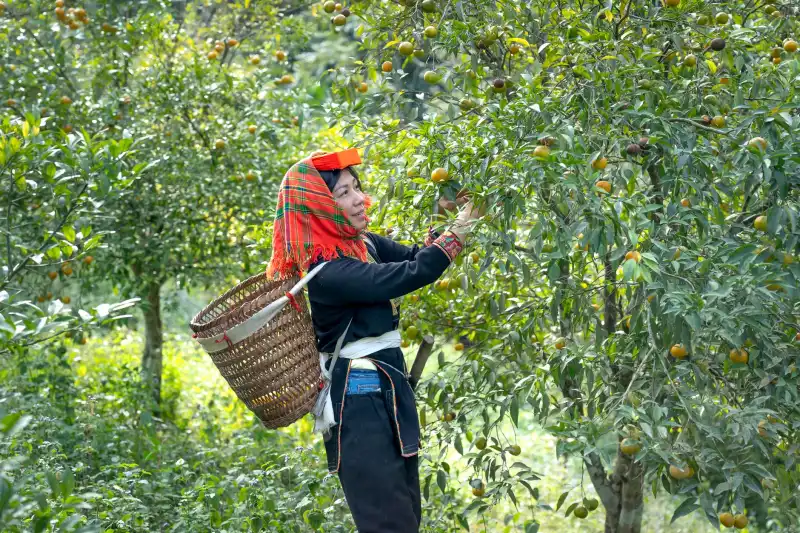 山东半岛高铁网加密工程中鲁南通道的规划定位与建设意义