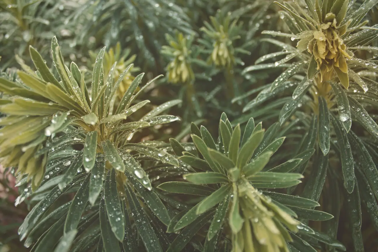 鲁南高速铁路桥梁工程桩基施工方案与工艺对比分析