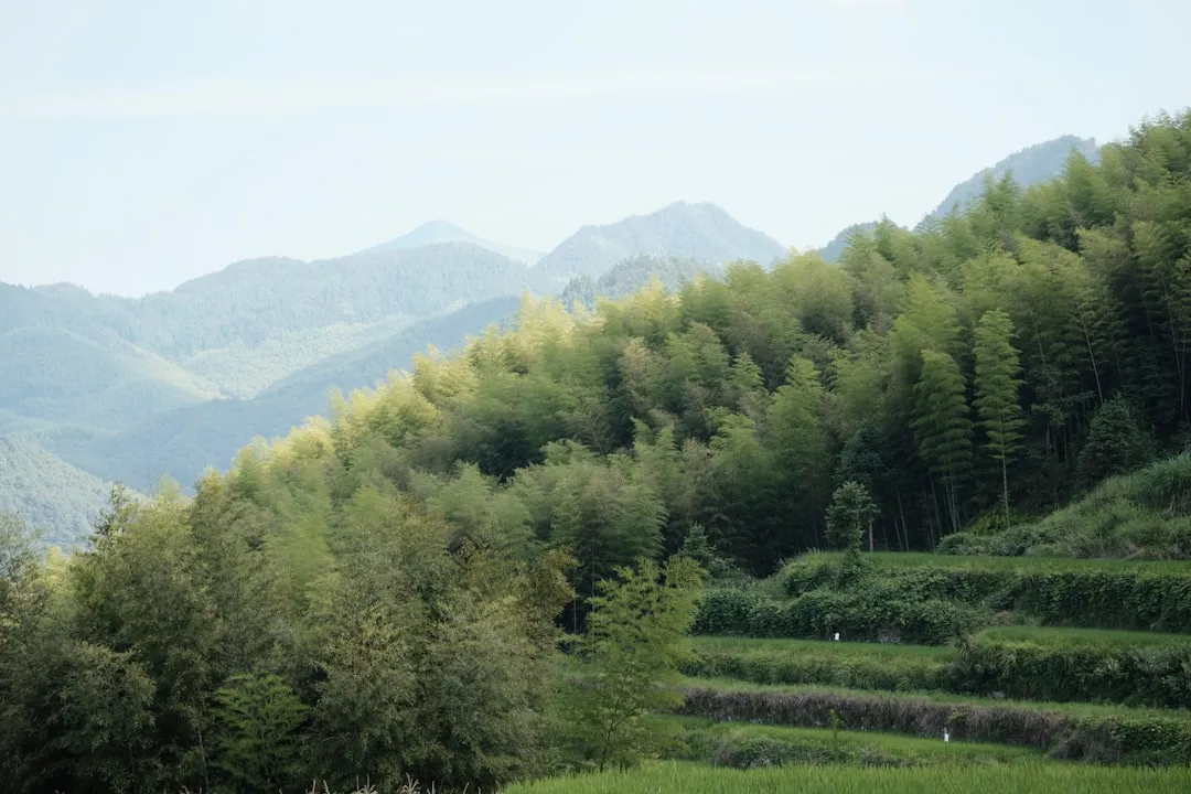 鲁南高铁无砟轨道施工关键技术要点与质量管控分析