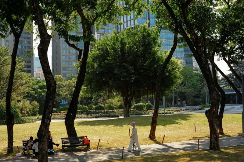 山东省铁路建设规划解读：鲁南高铁在区域交通中的枢纽作用